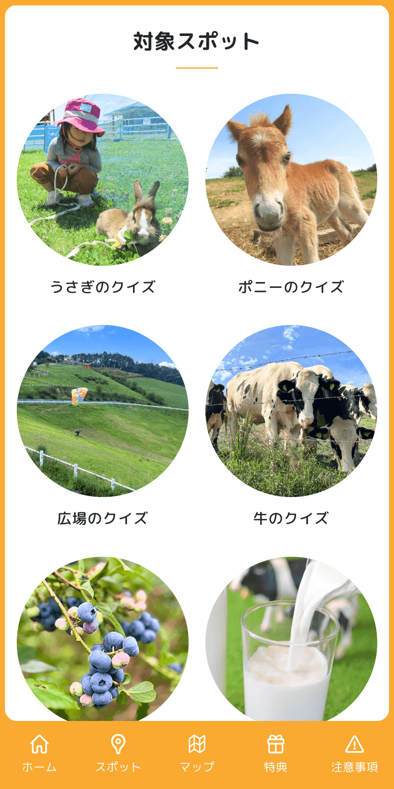 スクリーンショット 2