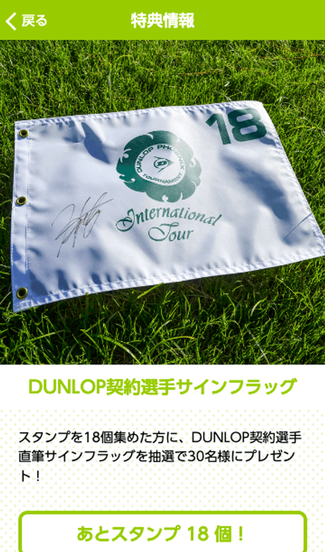 ダンロップフェニックストーナメントラリーのスクリーンショット 4