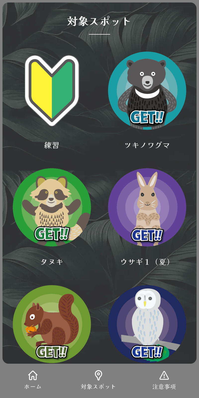 ナイトスコープラリーのスクリーンショット 2