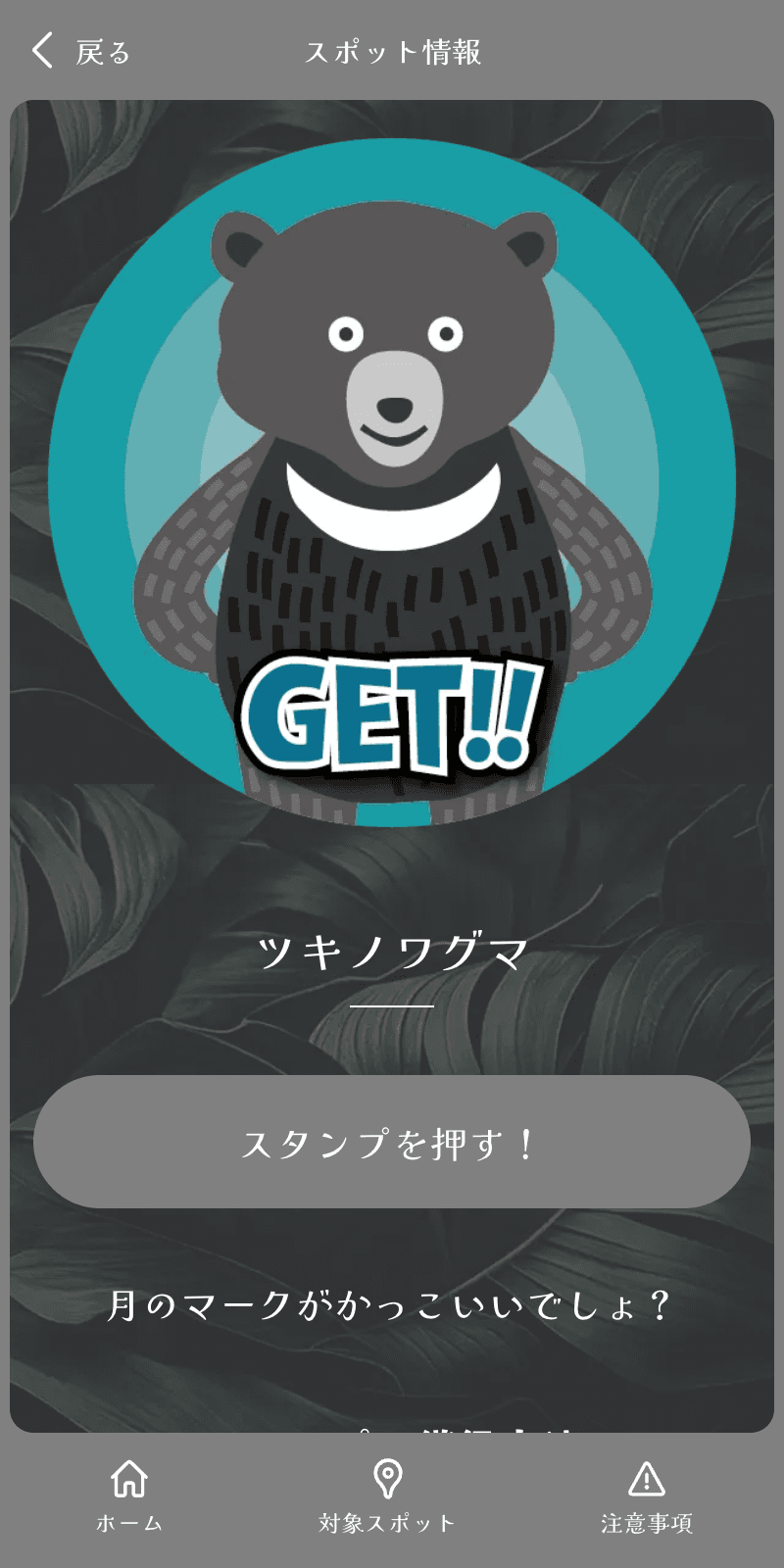 ナイトスコープラリーのスクリーンショット 3