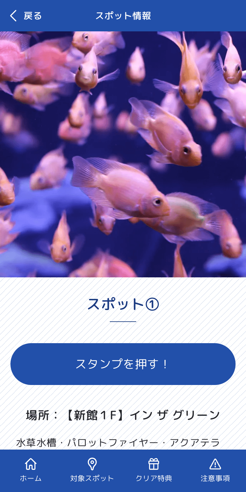 Summer mini アクアリウムラリーのスクリーンショット 3