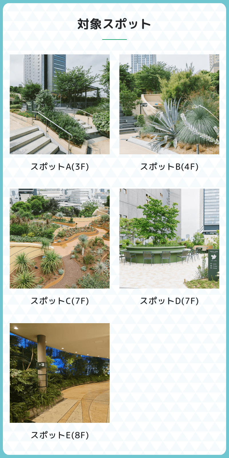 スクリーンショット 2