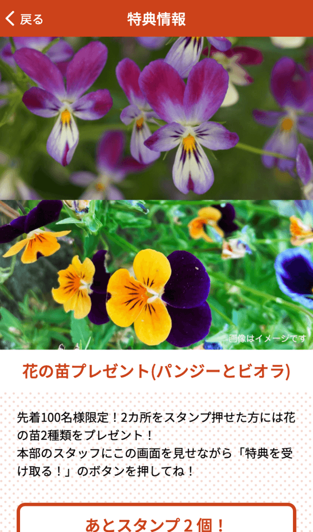 ごきげんマルシェin白兎ラリーのスクリーンショット 4