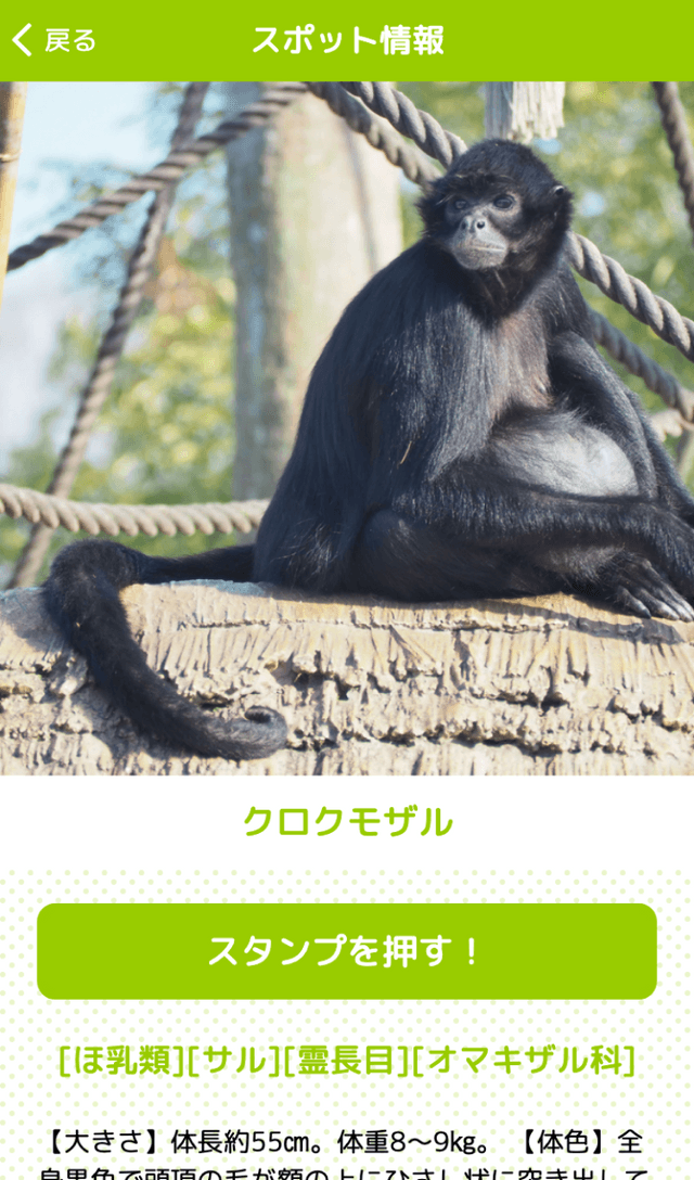 熊本市動植物園秋桜まつりラリーのスクリーンショット 3