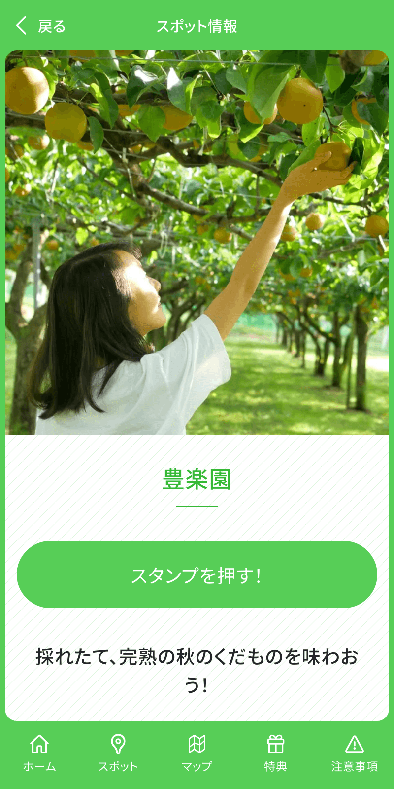 2023夏のけいなんラリーのスクリーンショット 3