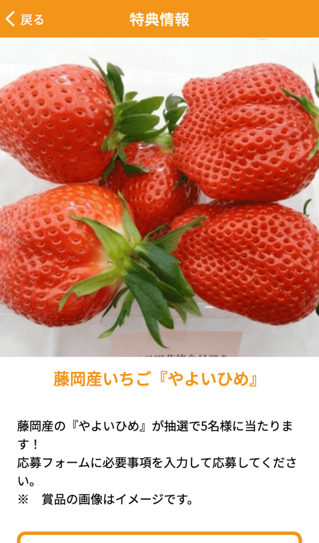 GO!GO!デジタルラリーのスクリーンショット 4