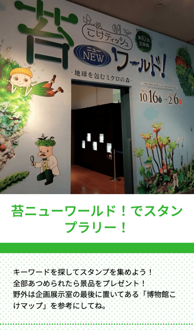 苔ニューワールドラリーのスクリーンショット 1