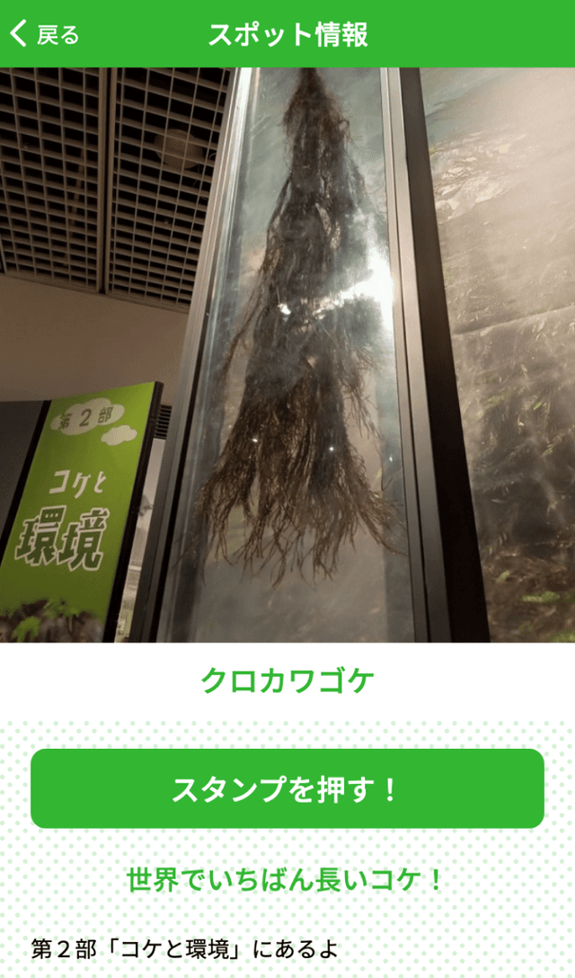 苔ニューワールドラリーのスクリーンショット 3