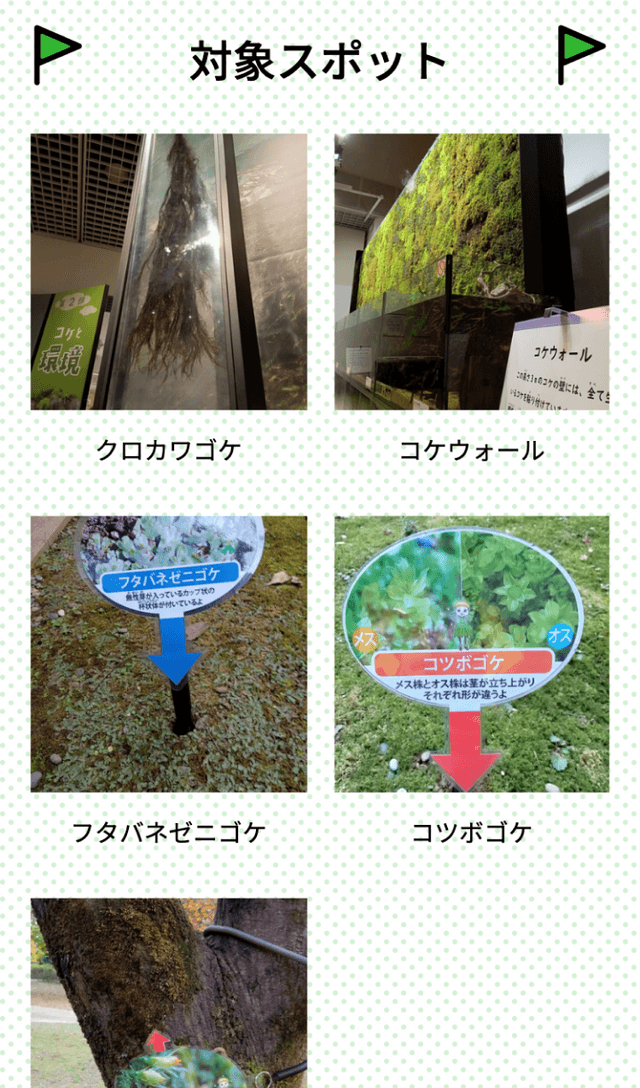 苔ニューワールドラリーのスクリーンショット 2