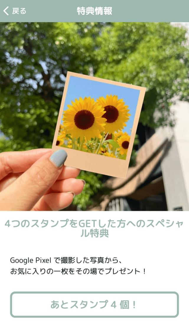 Pixel サマーキャンプラリーのスクリーンショット 4