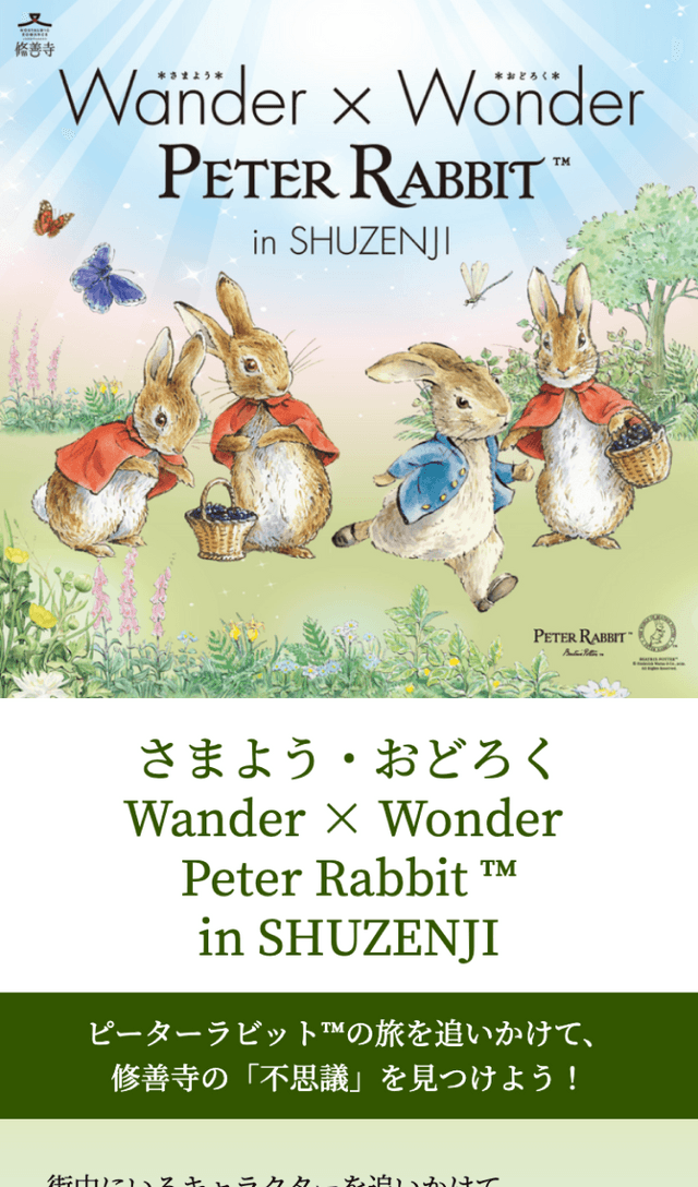 PeterRabbit in SHUZENJIラリーのスクリーンショット 1