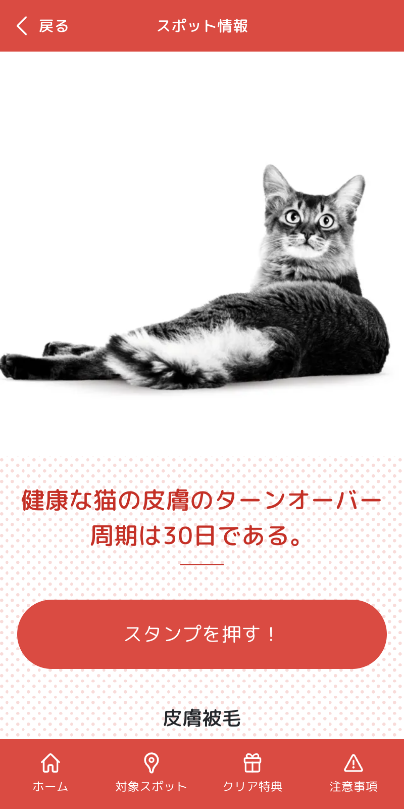 JAPAN CAT SHOWラリー2023のスクリーンショット 3