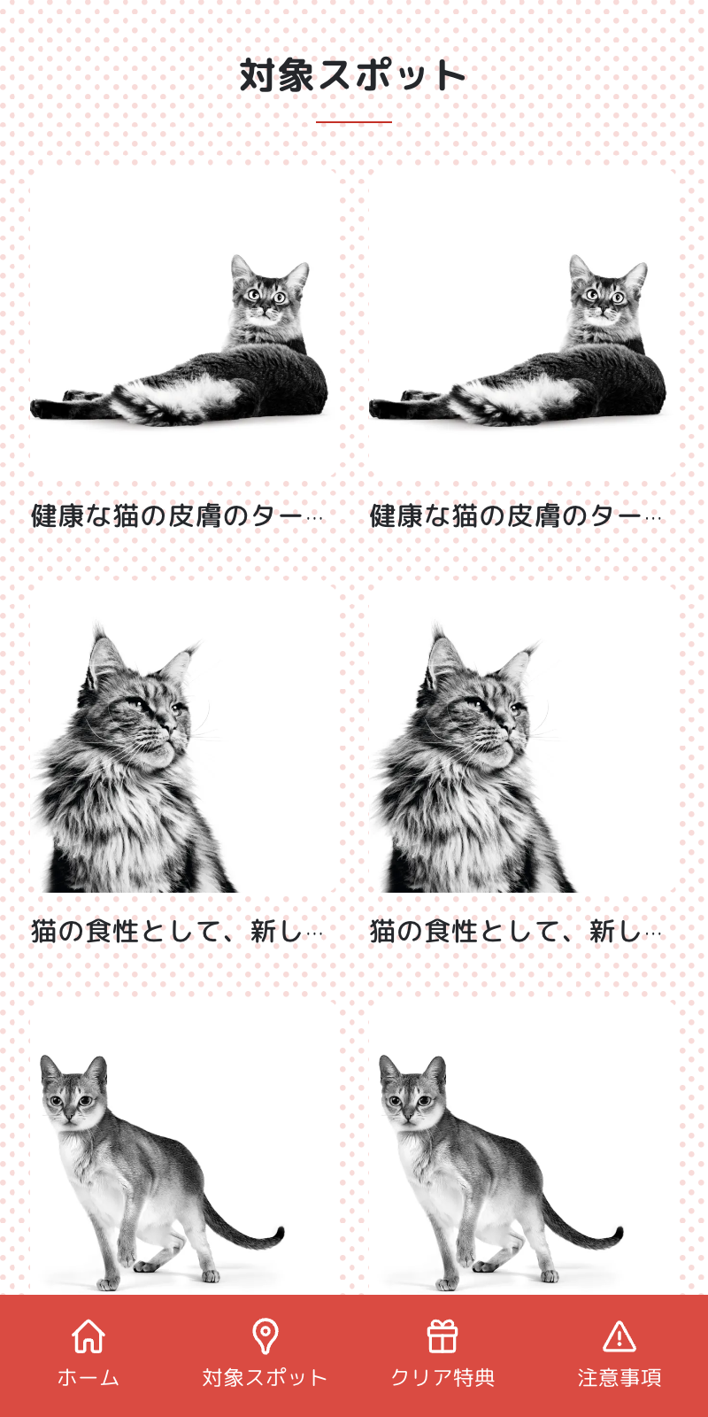 JAPAN CAT SHOWラリー2023のスクリーンショット 2